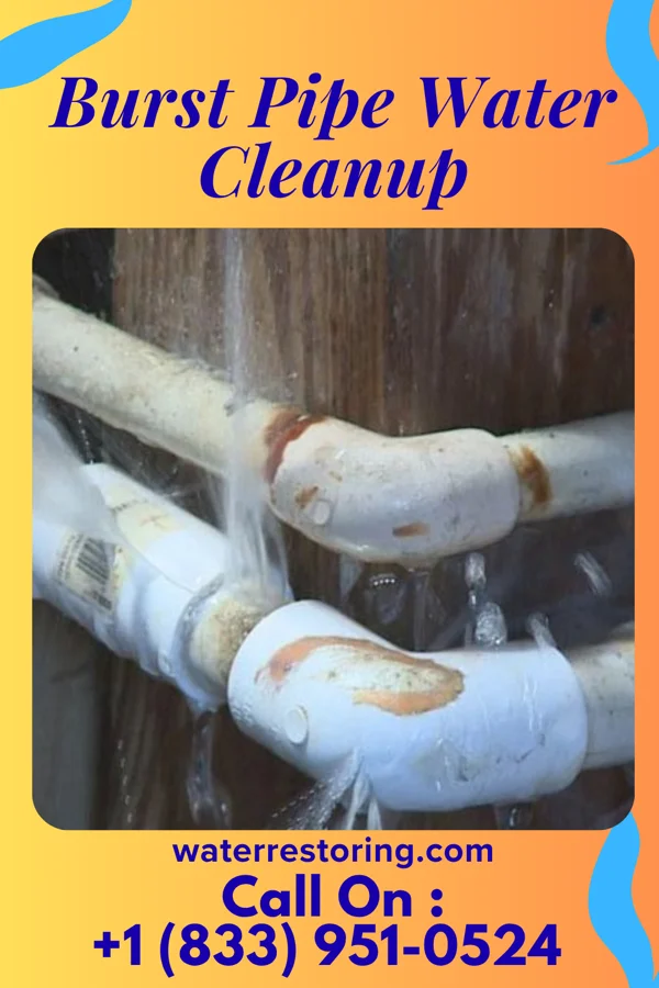 Burst Pipe Water Cleanup in West Belmar, NJ