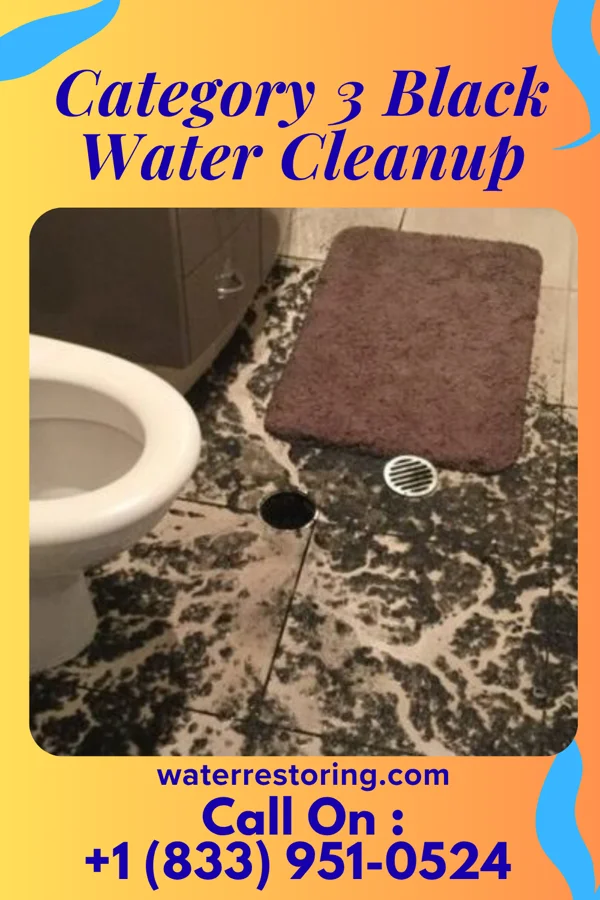 Category 3 Black Water Cleanup in West Belmar, NJ