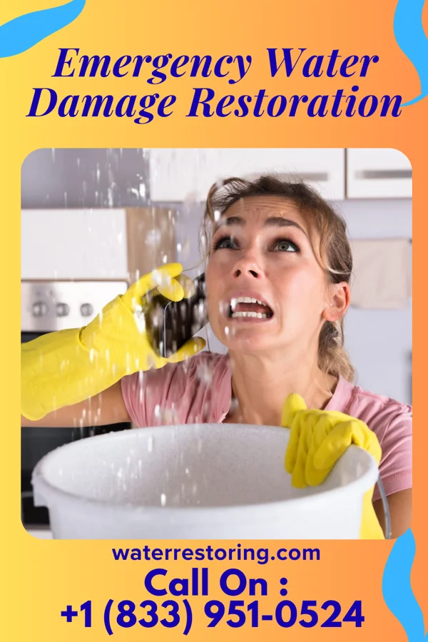 Emergency Water Damage Restoration in West Belmar, NJ