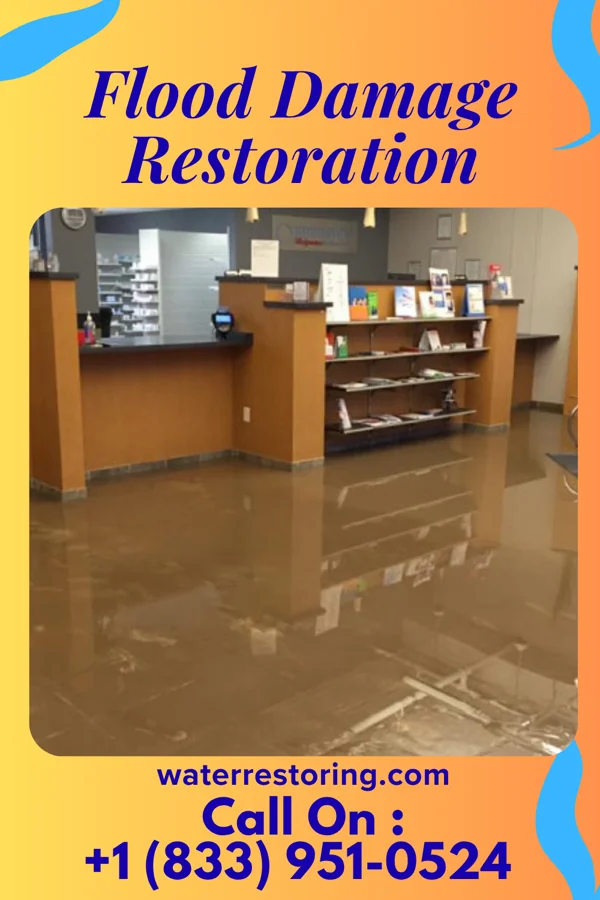 Flood Damage Restoration in West Belmar, NJ