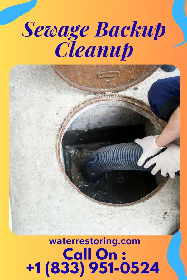 Sewage Backup Cleanup in West Belmar, NJ