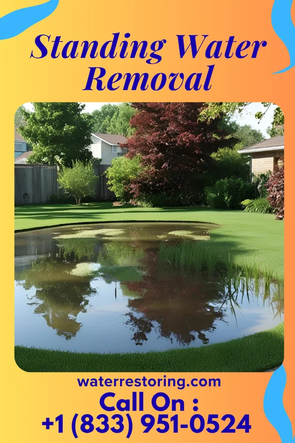 Standing Water Removal in West Belmar, NJ